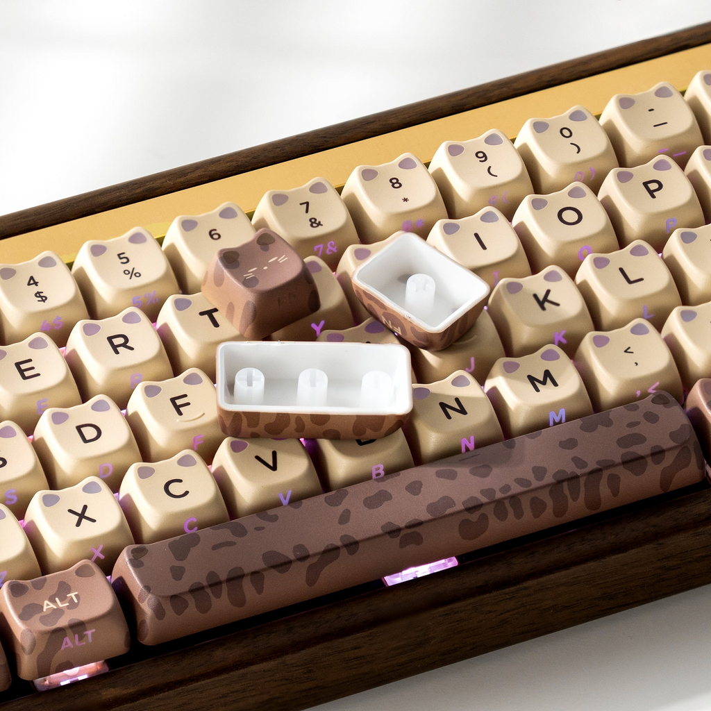 XVX Lumicat MAO Profile Side-Printed Shine-Through 113-Key Keycap Set